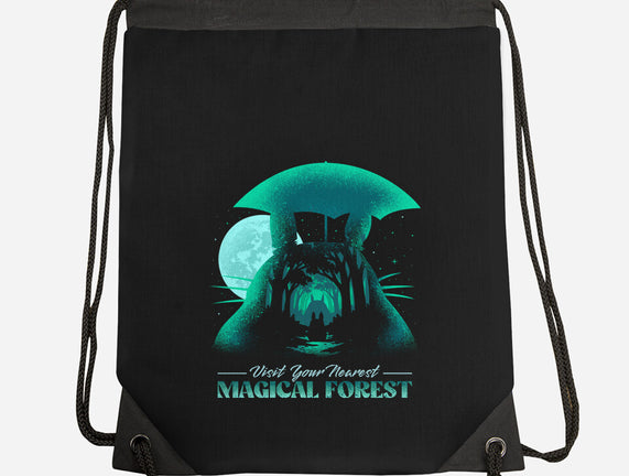 Visit Your Nearest Magical Forest