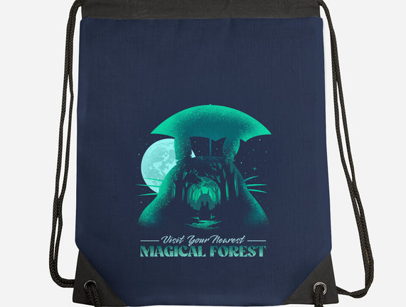 Visit Your Nearest Magical Forest