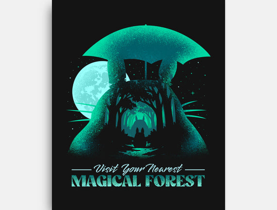 Visit Your Nearest Magical Forest