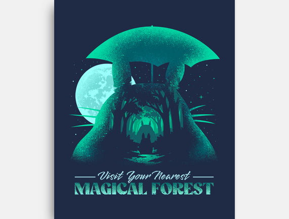 Visit Your Nearest Magical Forest