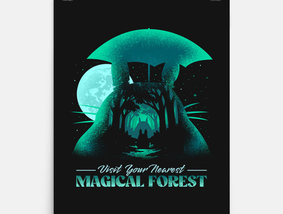 Visit Your Nearest Magical Forest
