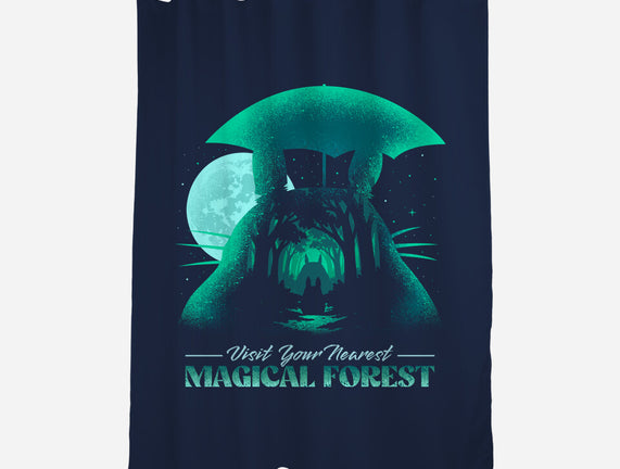 Visit Your Nearest Magical Forest