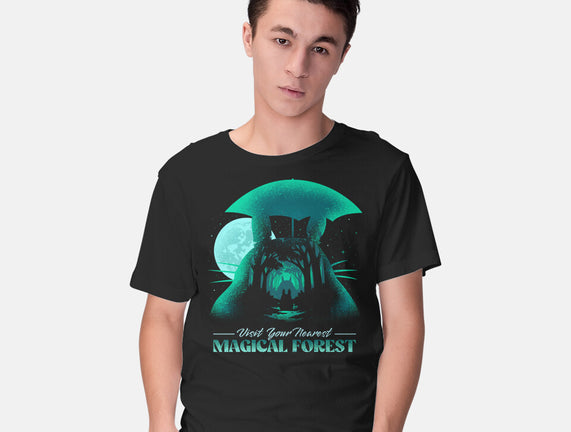 Visit Your Nearest Magical Forest