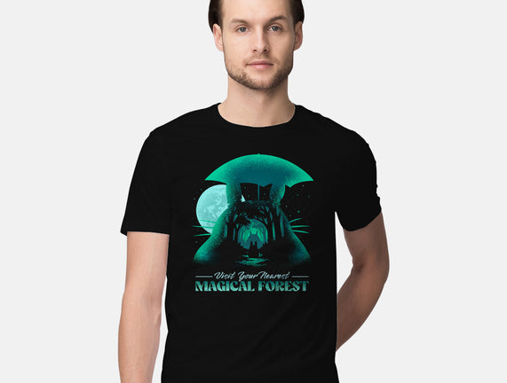 Visit Your Nearest Magical Forest