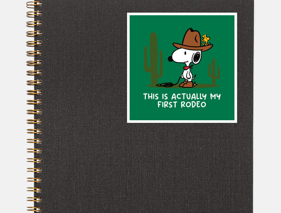 First Rodeo