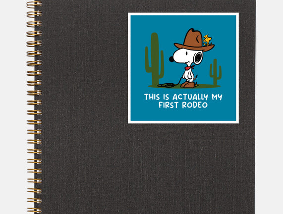 First Rodeo