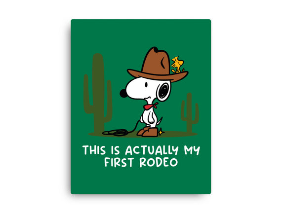 First Rodeo