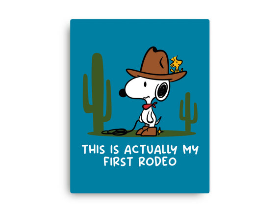 First Rodeo