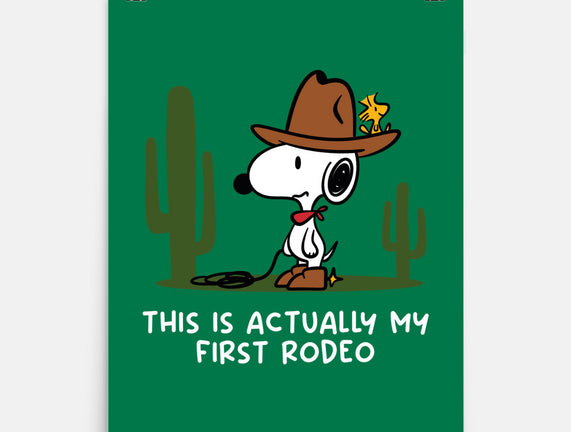 First Rodeo