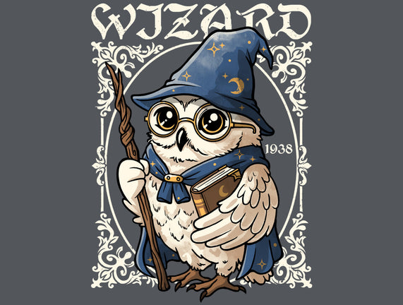 Owl Wizard Merlin