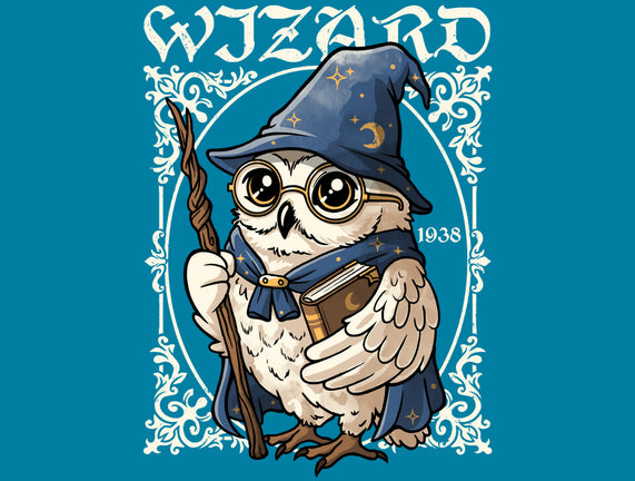 Owl Wizard Merlin