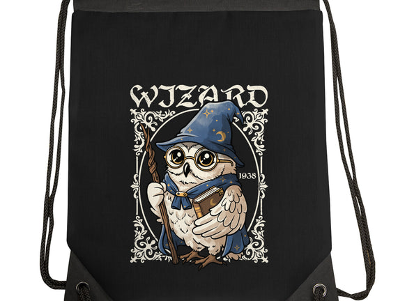 Owl Wizard Merlin