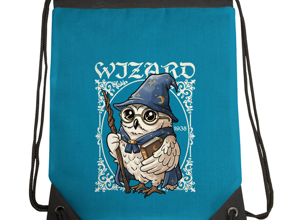 Owl Wizard Merlin