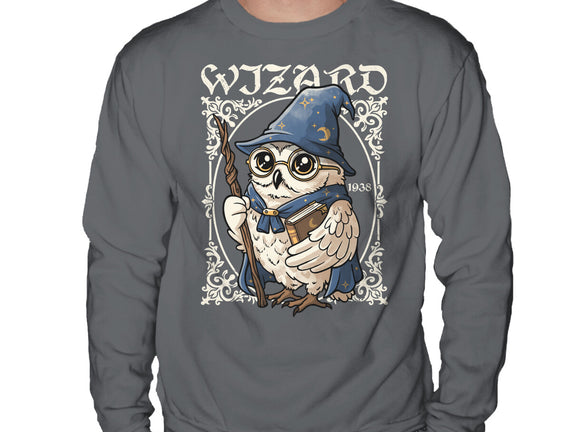 Owl Wizard Merlin