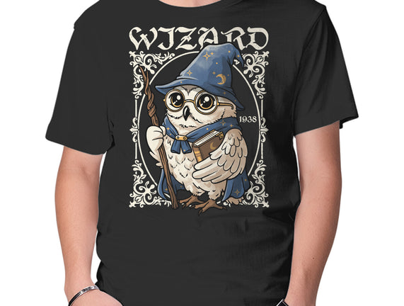 Owl Wizard Merlin