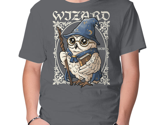 Owl Wizard Merlin