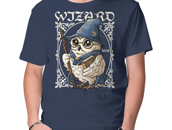 Owl Wizard Merlin