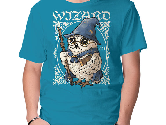 Owl Wizard Merlin