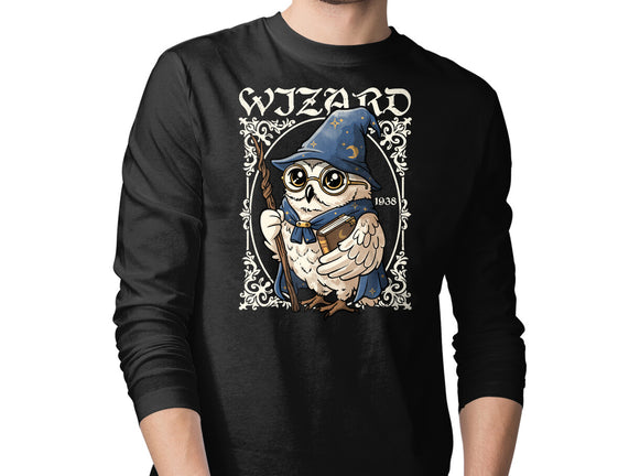 Owl Wizard Merlin