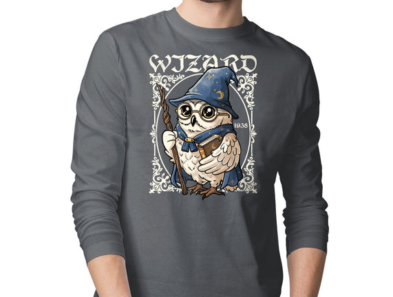 Owl Wizard Merlin
