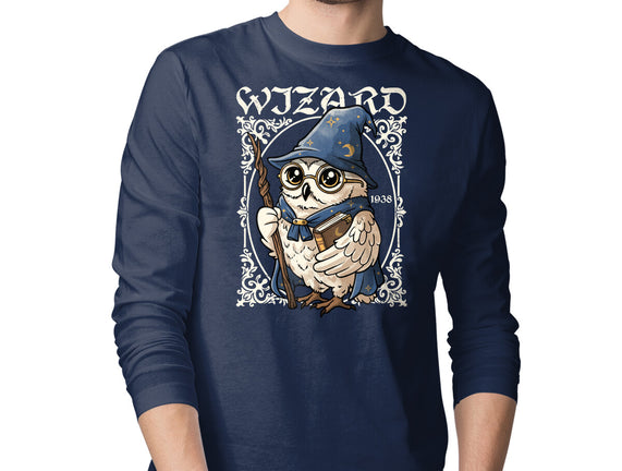 Owl Wizard Merlin
