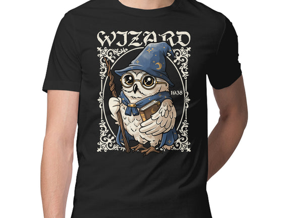 Owl Wizard Merlin
