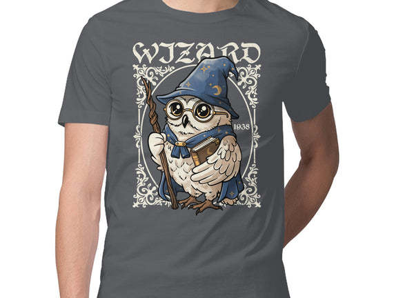 Owl Wizard Merlin