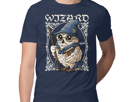 Owl Wizard Merlin