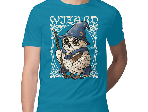 Owl Wizard Merlin