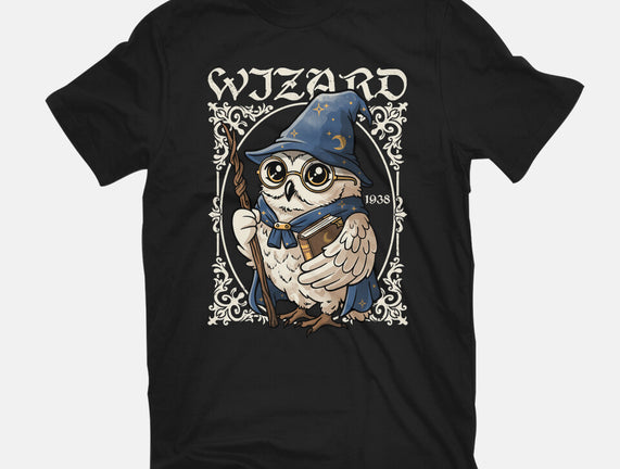 Owl Wizard Merlin
