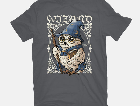 Owl Wizard Merlin