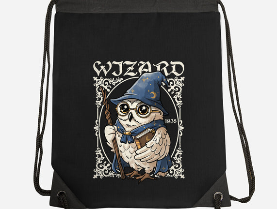 Owl Wizard Merlin