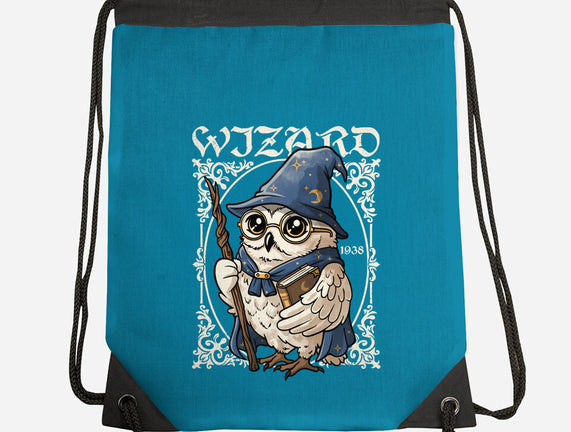 Owl Wizard Merlin