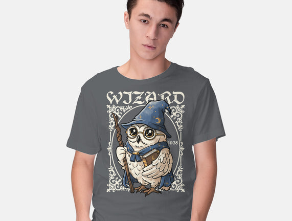 Owl Wizard Merlin