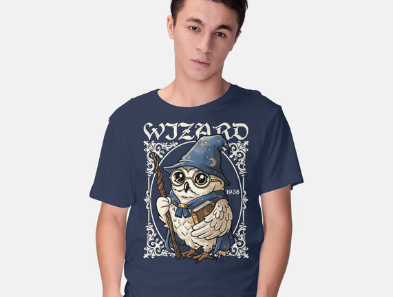 Owl Wizard Merlin