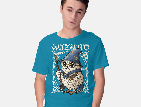 Owl Wizard Merlin