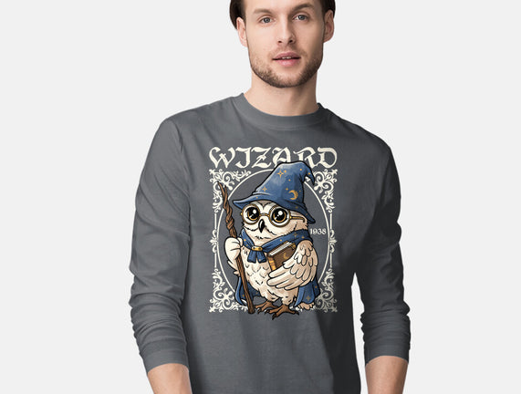Owl Wizard Merlin