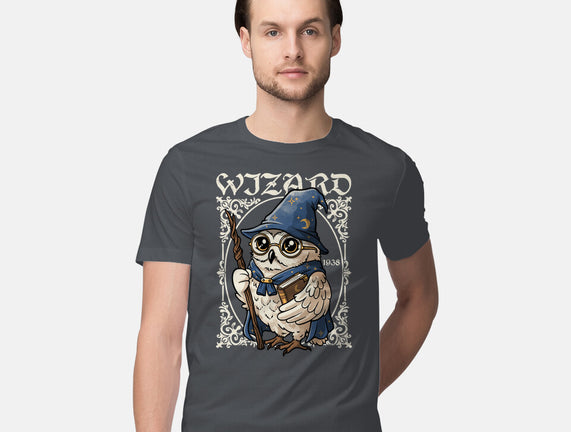 Owl Wizard Merlin