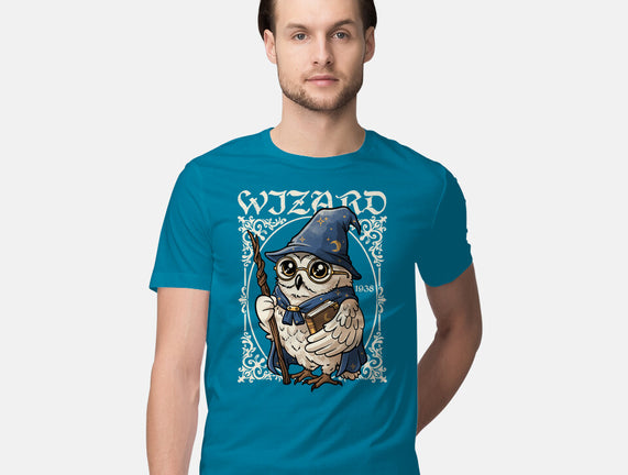 Owl Wizard Merlin