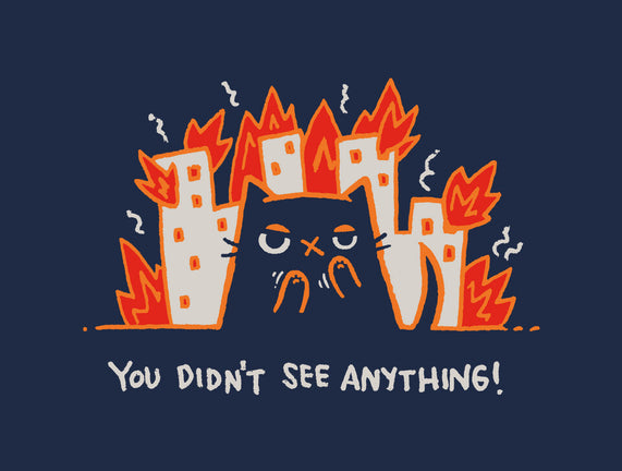 Didn't See Anything