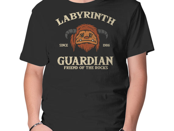 Labyrinth Guardian