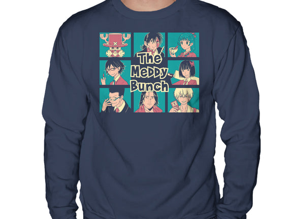 The Meddy Bunch