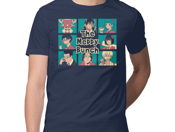 The Meddy Bunch