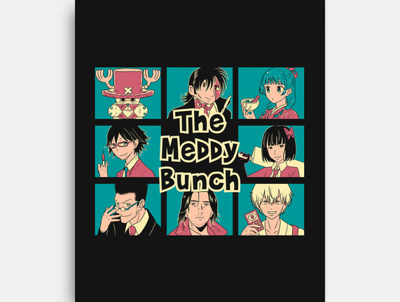 The Meddy Bunch