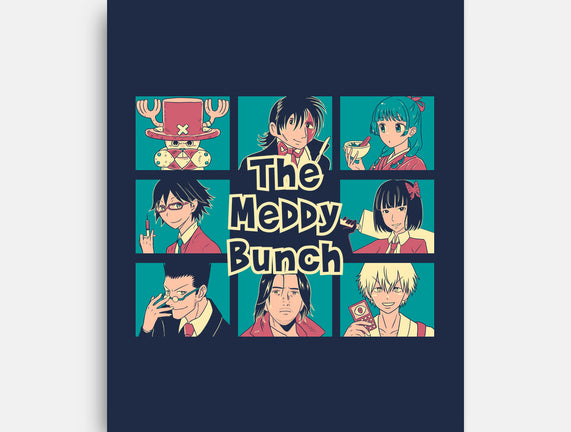 The Meddy Bunch