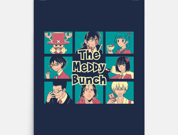 The Meddy Bunch