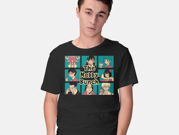 The Meddy Bunch