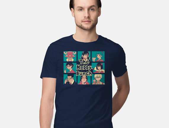 The Meddy Bunch