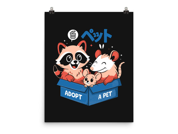 Street Critter Squad