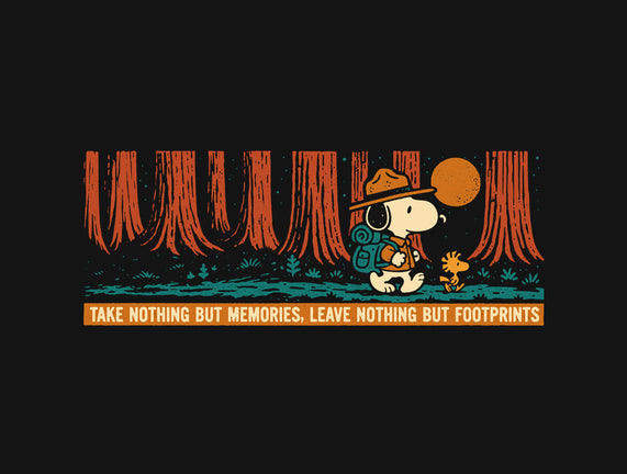 Leave Nothing But Footprints